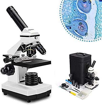 Test e revisione del microscopio Solomark 20x1280x