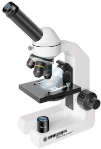 Microscopios ópticos